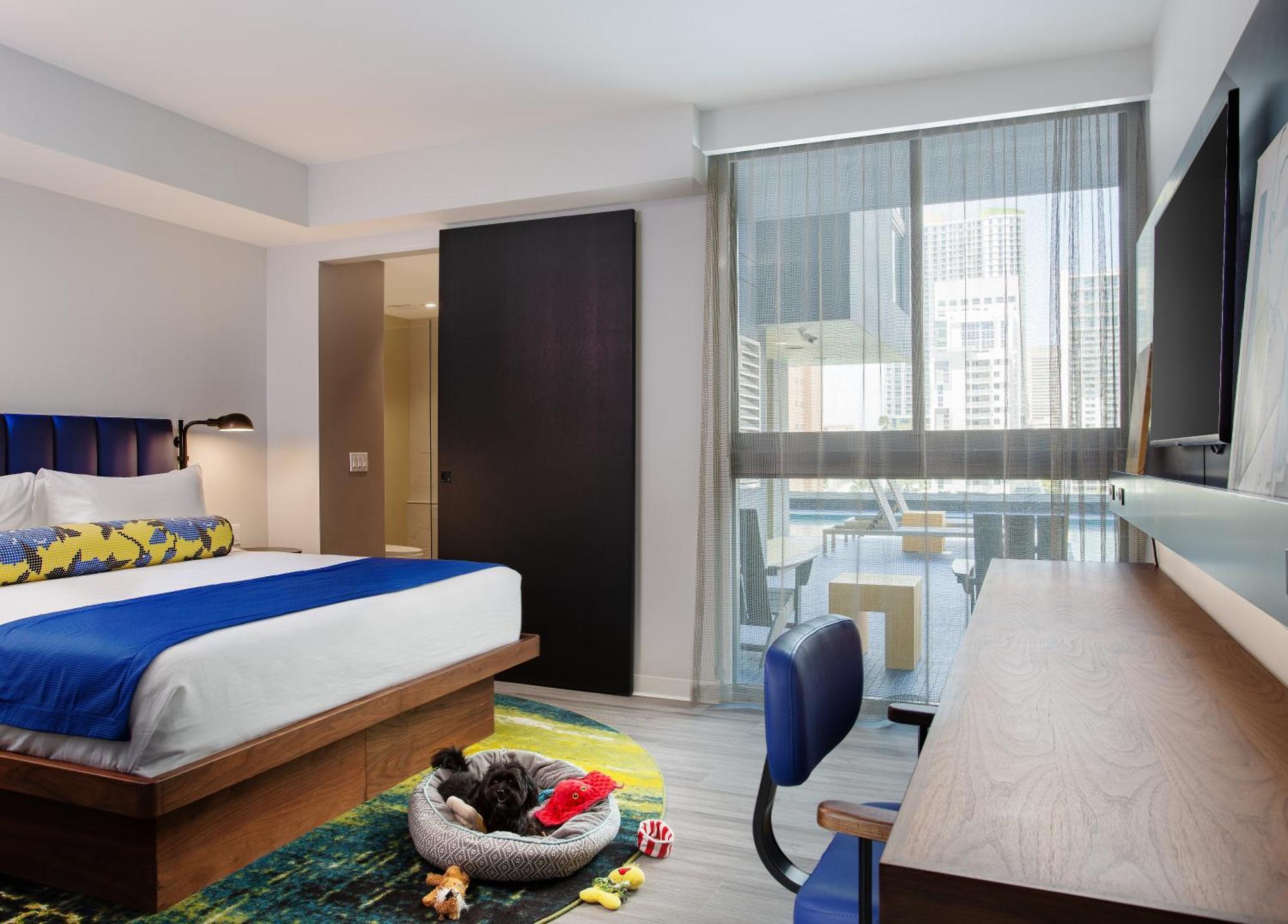 Hotel Indigo Miami Brickell By Ihg Rum bild